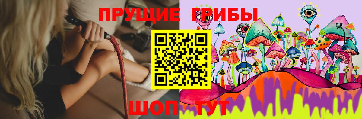 Псилоцибиновые грибы MAGIC MUSHROOMS  Вход с VPN  Красноармейск 